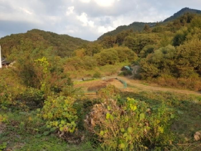 제시부동산 목록4번전경