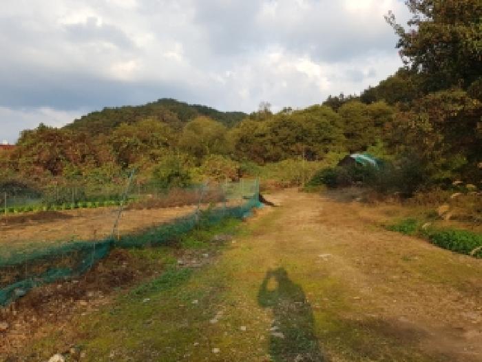 제시부동산 목록4번 근접사진2