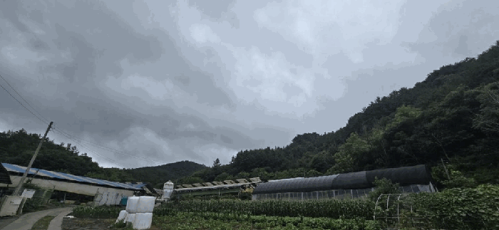 본건 기호 2)