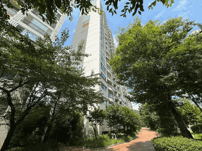 본건 전경(남서