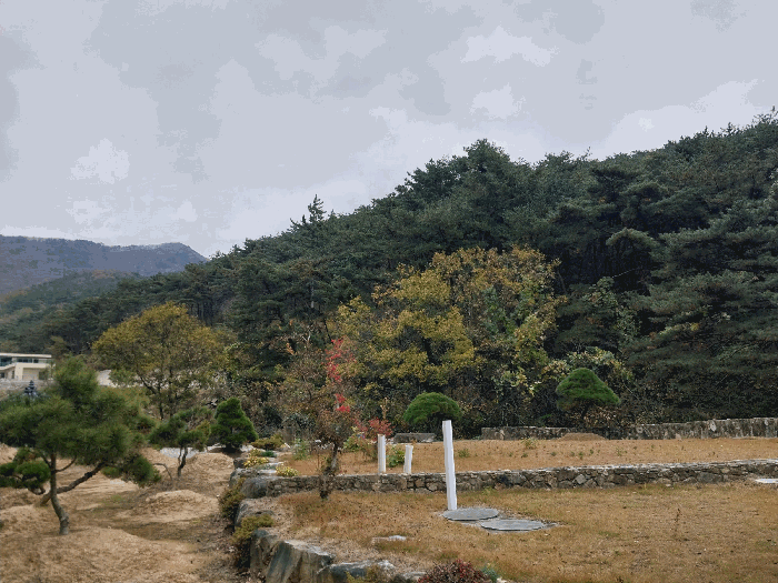 본 건 전 경
(기호 1)