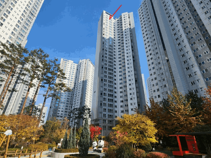 남서측에서 촬영