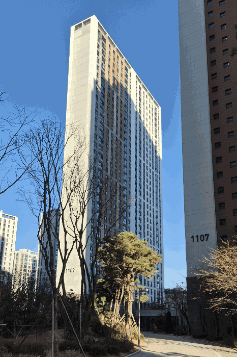1109동 전경