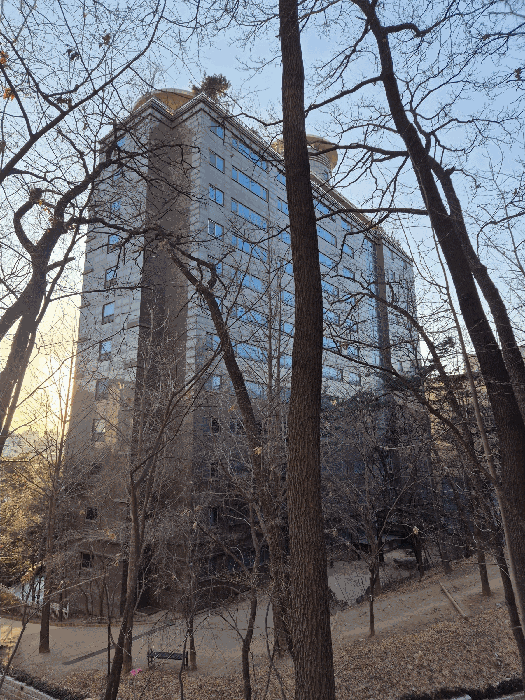 대상물건 북동측에서 촬영