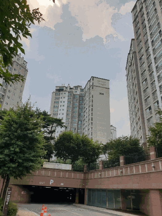 동측전경