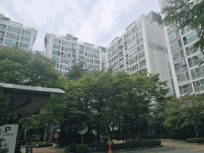 대상물건 전경