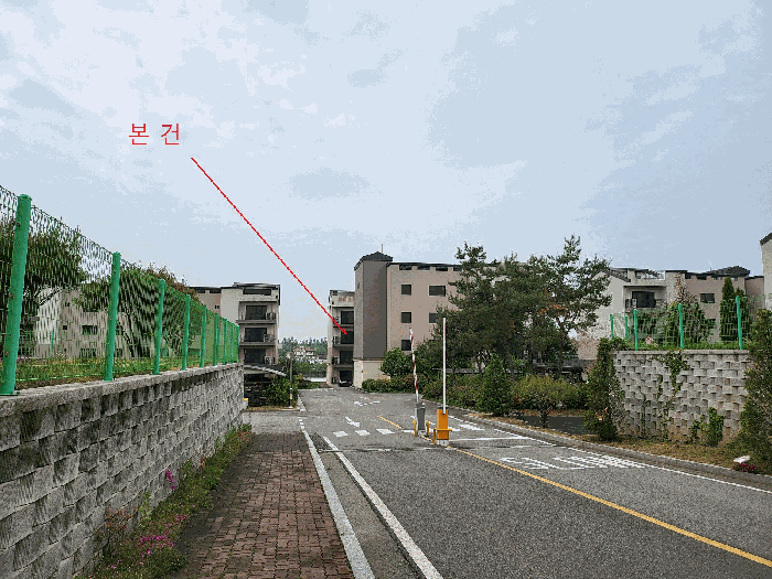 본 건 단지 진