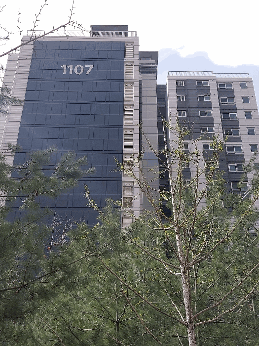 본건 아파트 동 전경