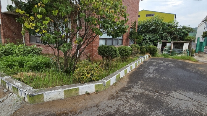 3지상 수목