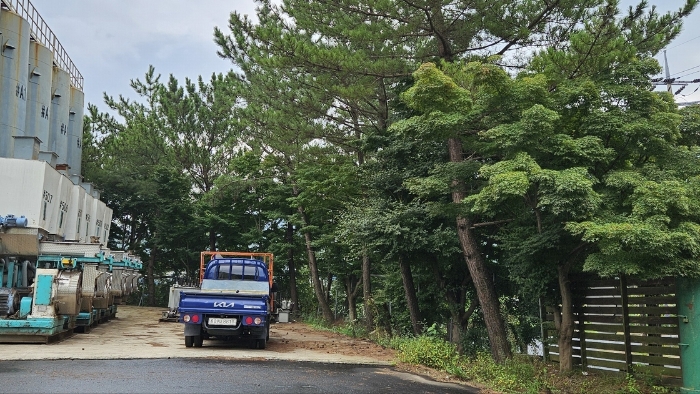 2지상 수목