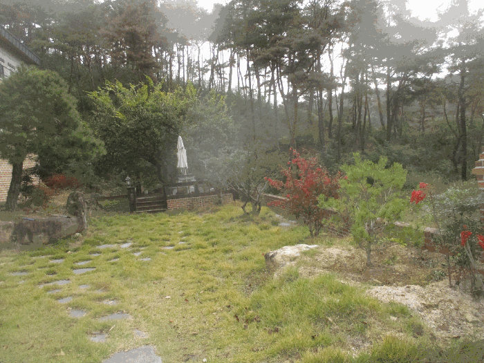 조경수