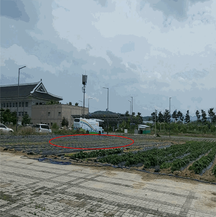 본건 북측 전경
