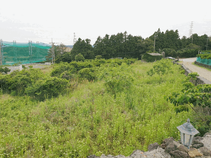 본건 전경 - 북동측에서 촬영한 본건