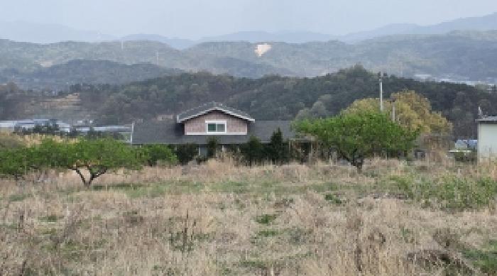 유실수