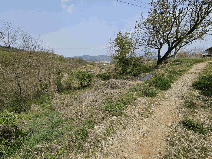 기호(4)토지 전경
(서측에서 촬영)