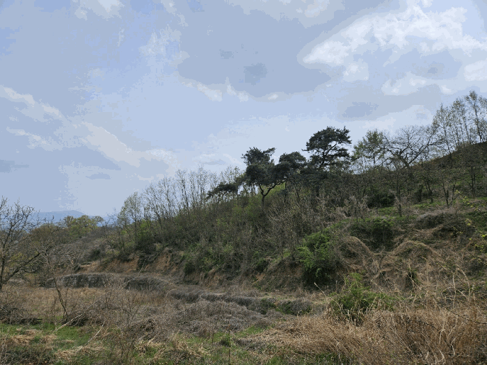 기호(1)토지 전경
(북서측에서 촬영)