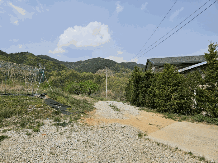 기호(4)토지 진입부분
(남측에서 촬영)