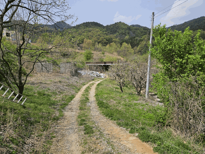 기호(3,6)토지 전경
(남동측에서 촬영)