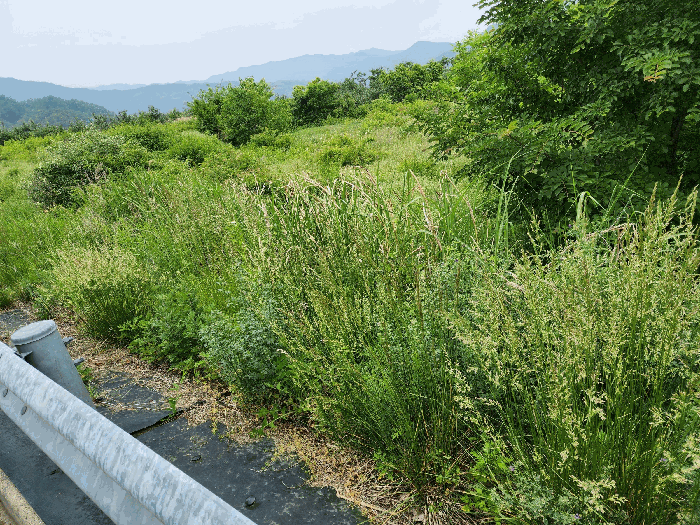 기호 1,2) 동측