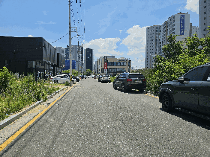 동측도로주변
