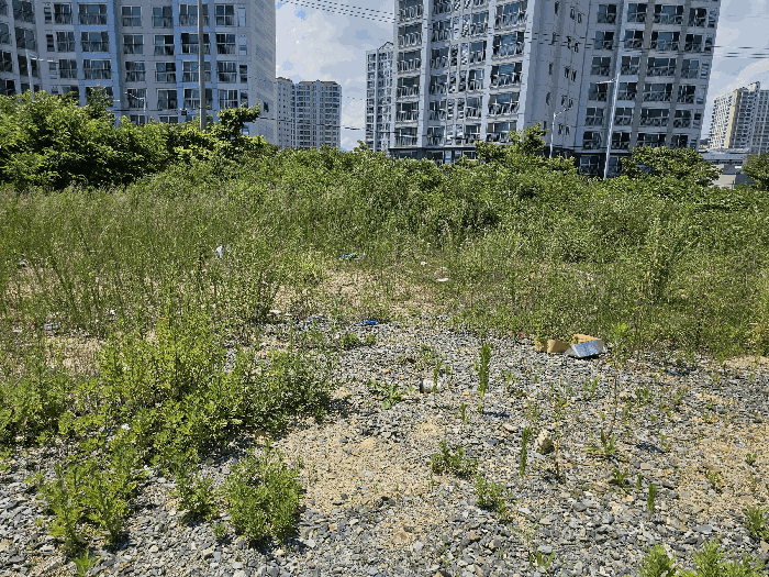 본건(내부)