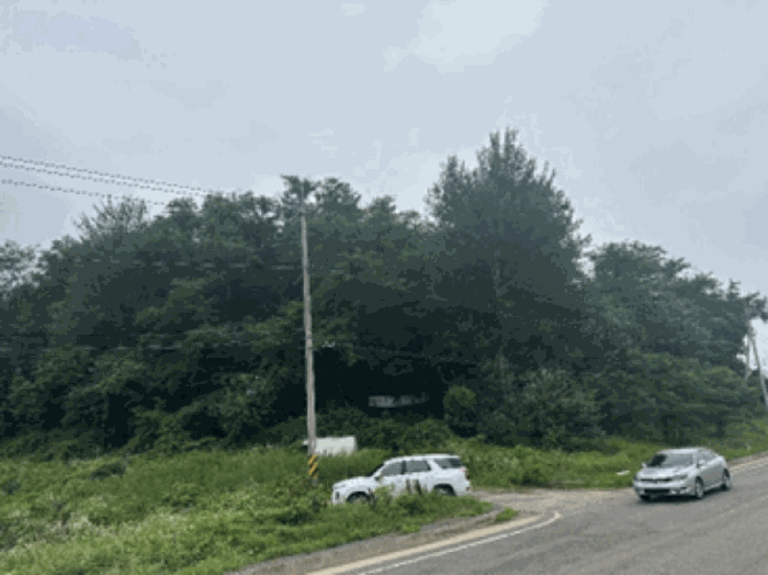 본건전경(기호1)