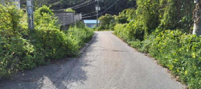목록3 도로 전경(1)