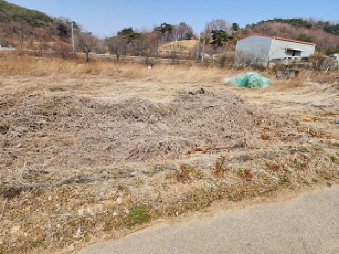 해당 토지 전체 전경(2)