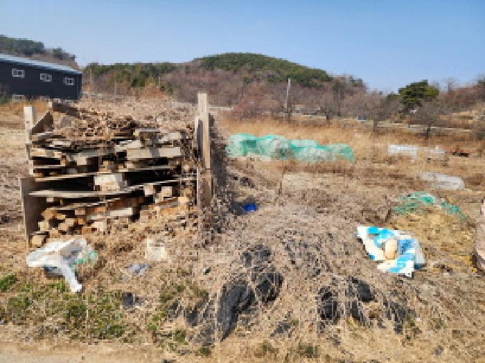 해당 토지 상 잡목이 방치된 현황