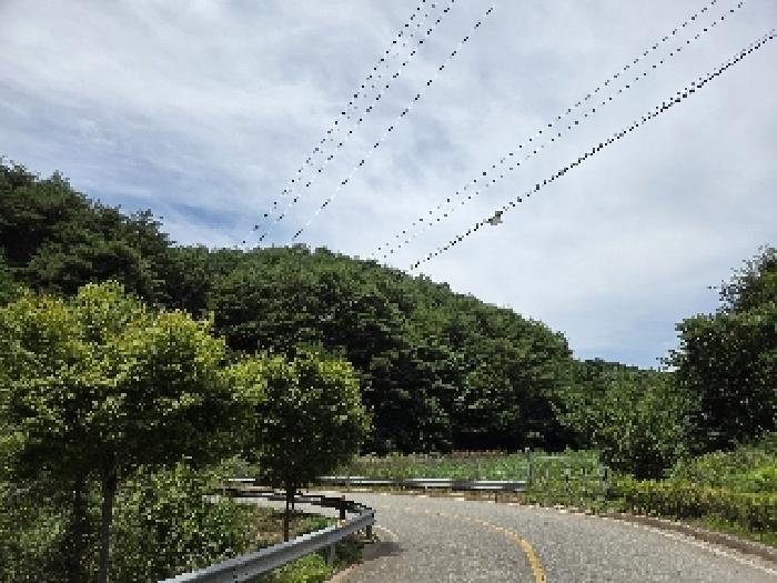 본건 기호1번 전경도