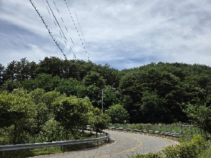 본건 기호2번 전경도