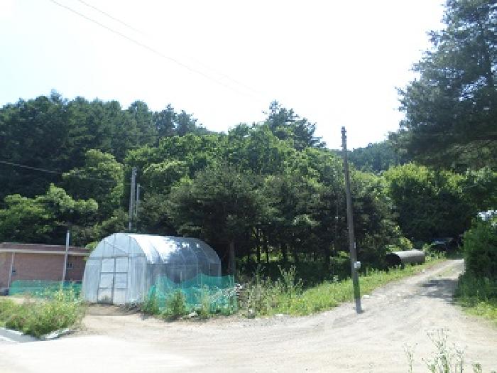 목록1 일대