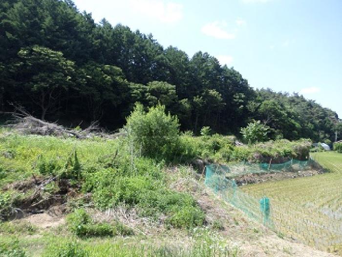 목록5,6 일대