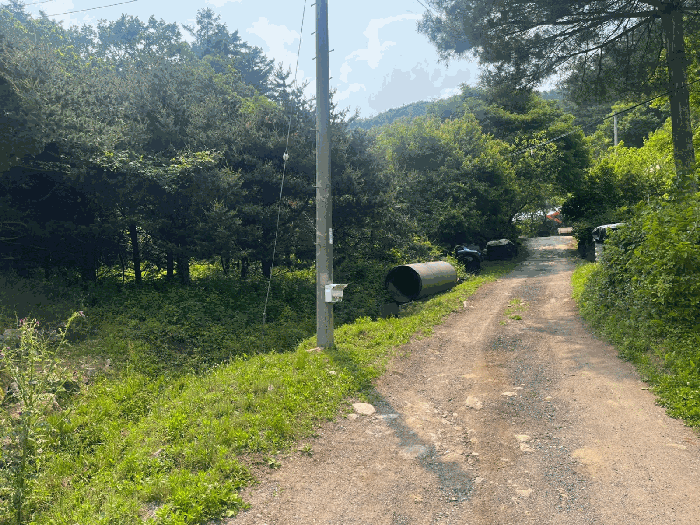 일련번호 1