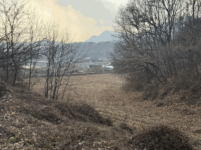 기호(4) 전경