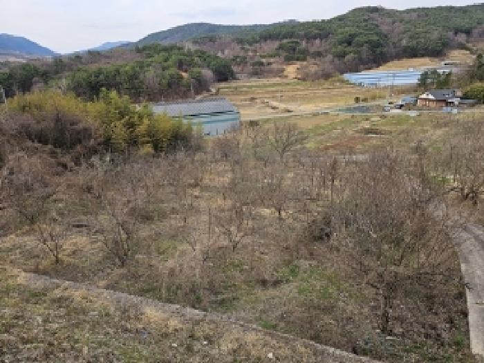 물건번호1,2, 수목