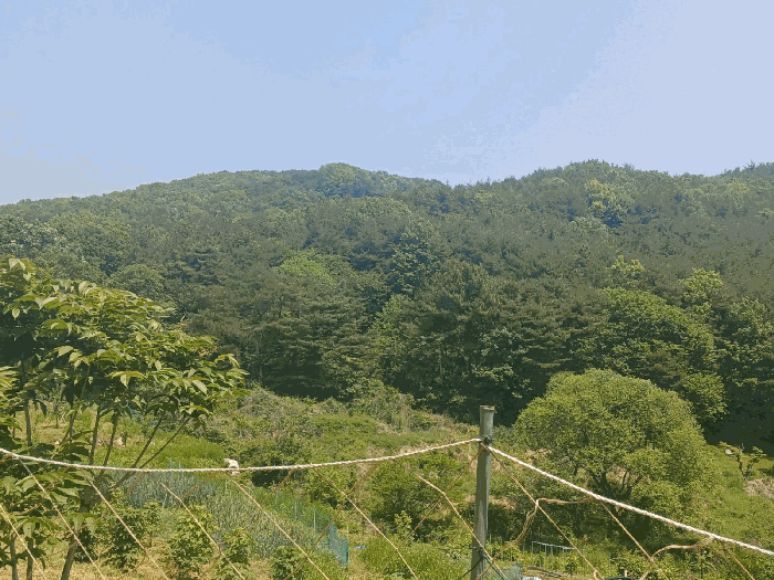 대상물건 1)