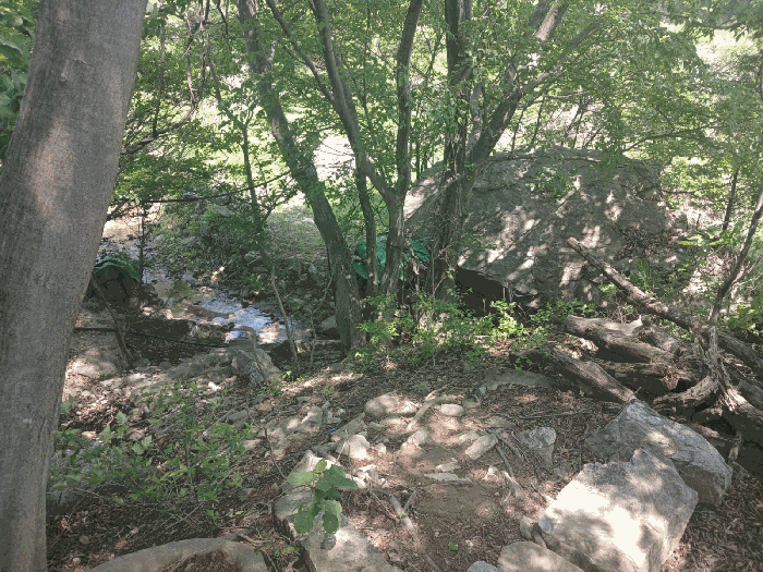 대상물건 1)