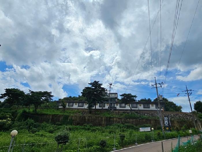 전경 사진