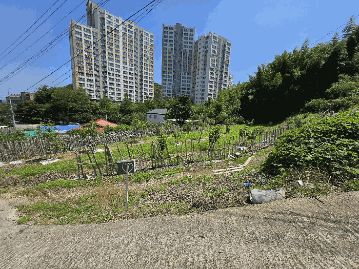 본건 전경, 남측 인근 촬영