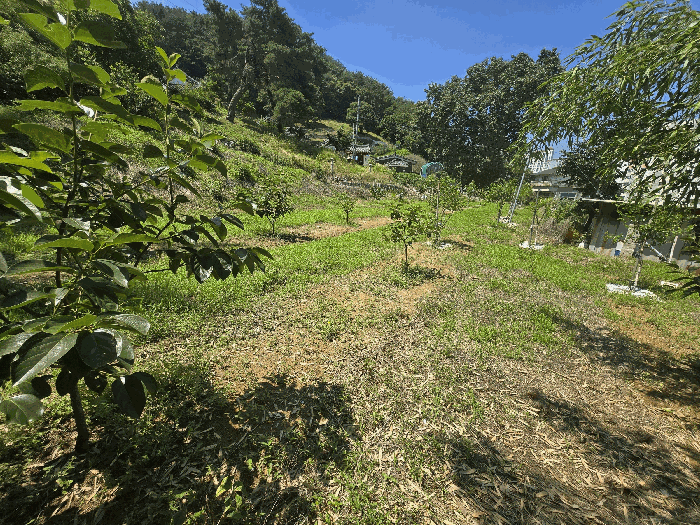 본건 전경, 본건내에서 촬영
