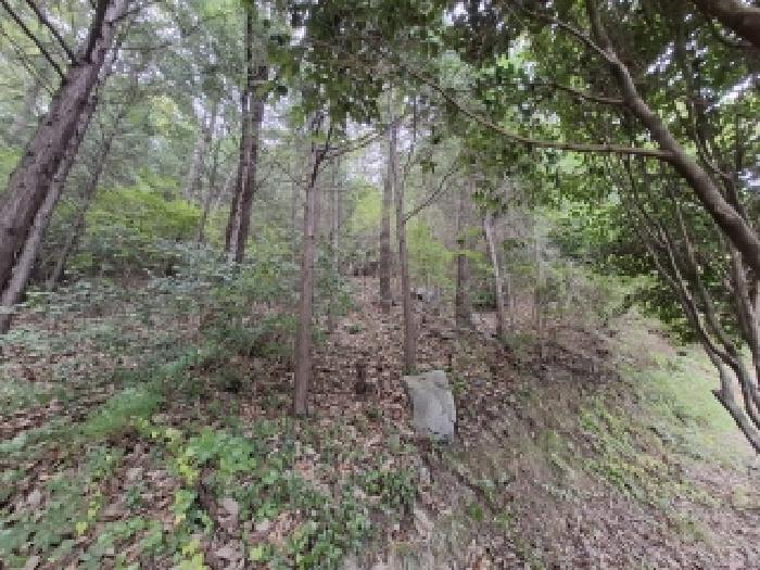 목록번호1.