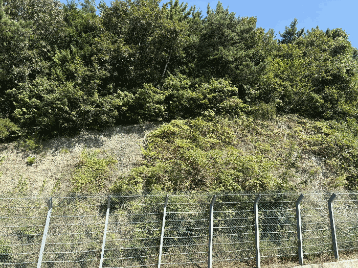본건 기호1)