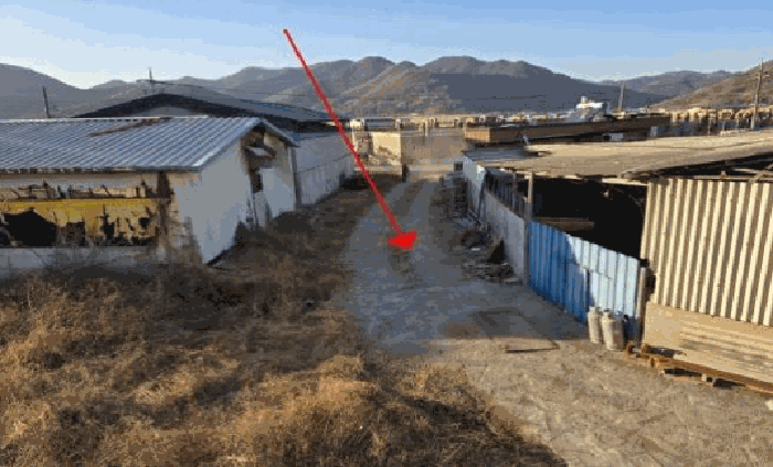 
본건 토지[ 1 ]전경 