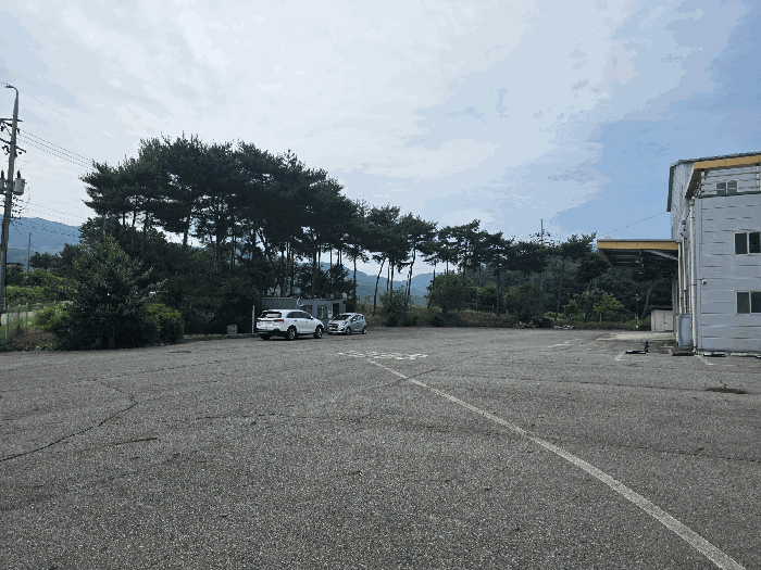지상소재 경계수목 현황