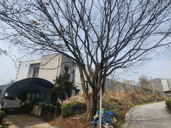 본건 전경