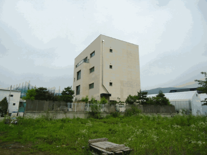 본건 건물 상황