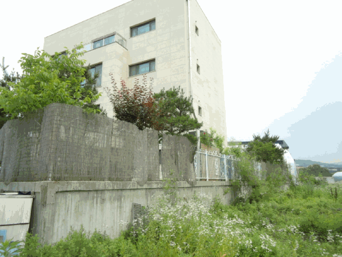 본건 건물 상황