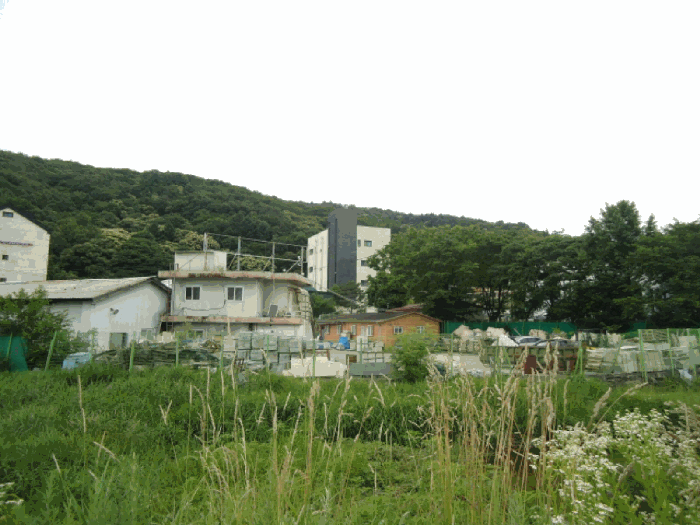 주변 상황