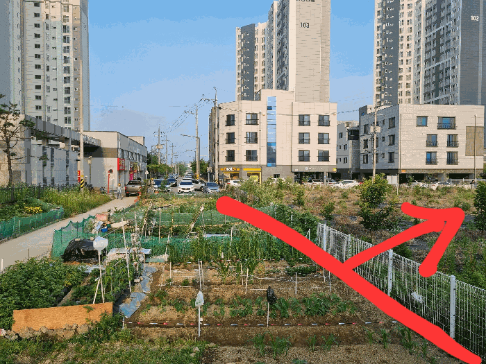 [대상토지 1과 부근상황]
(남동측에서 본 전경)